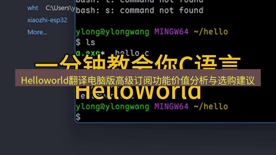 helloworld翻译下载 Helloworld翻译电脑版高级订阅功能价值分析与选购建议