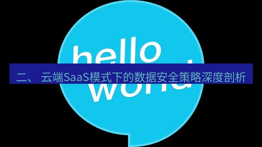 helloworld翻译下载 二、 云端SaaS模式下的数据安全策略深度剖析